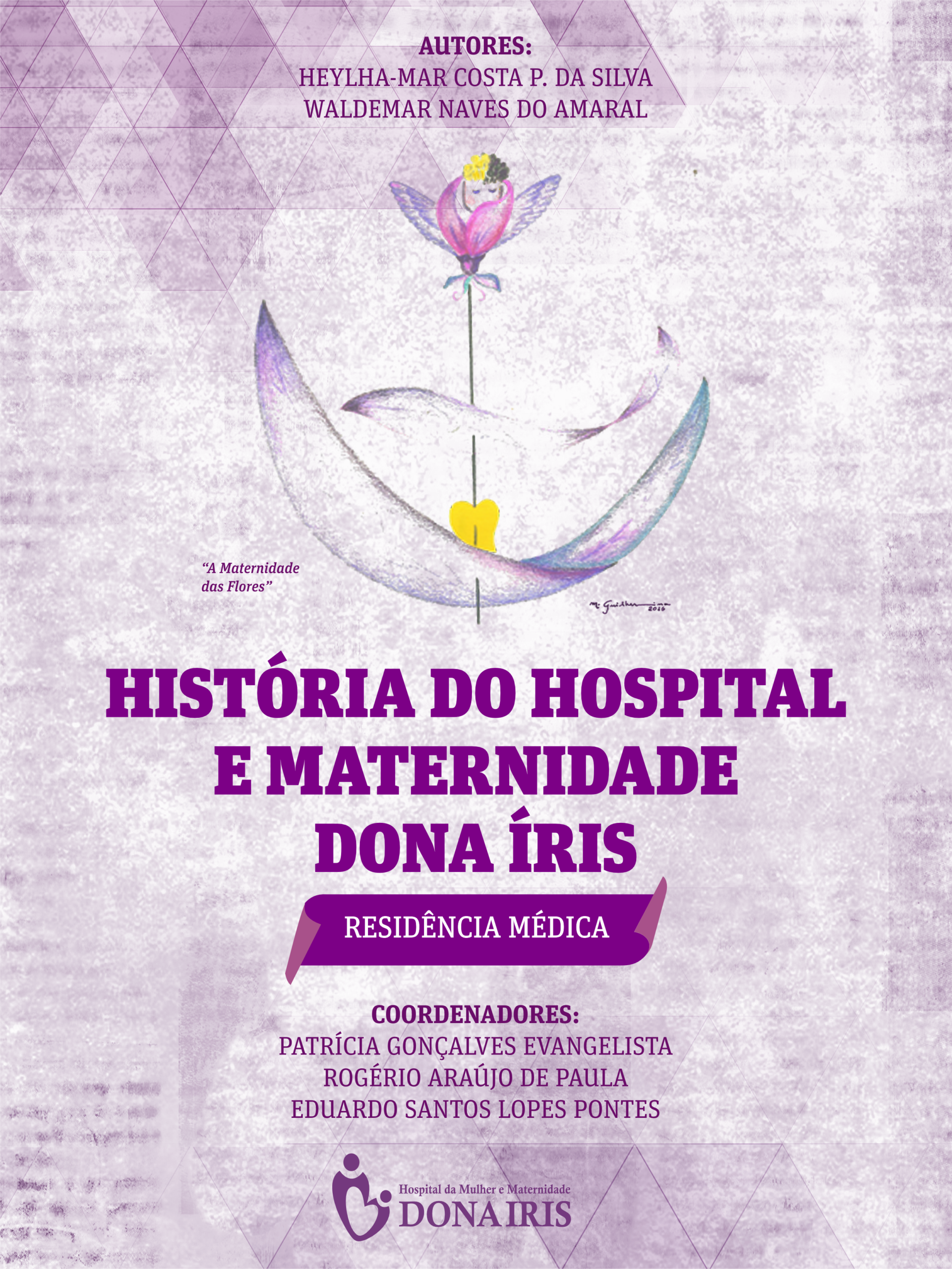 História do Hospital e Maternidade Dona Íris – Residência Médica